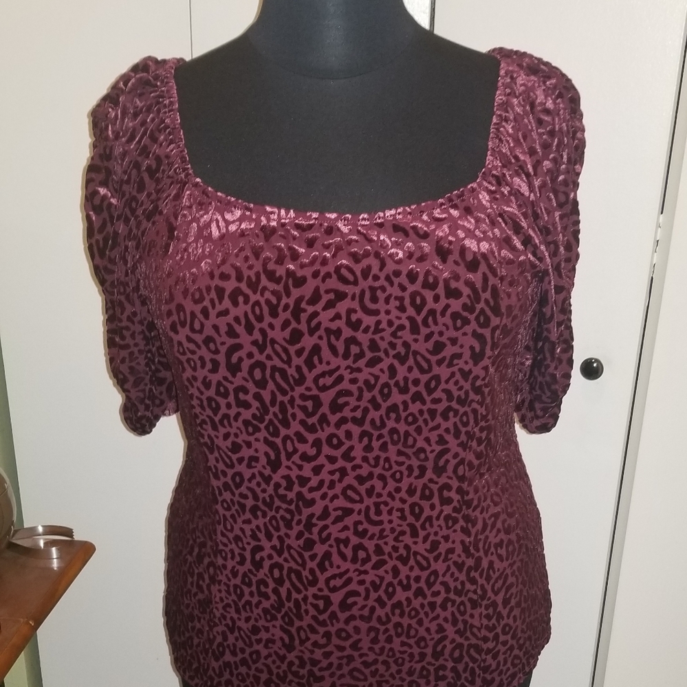EUC Gorgeous Burnout Velvet Top